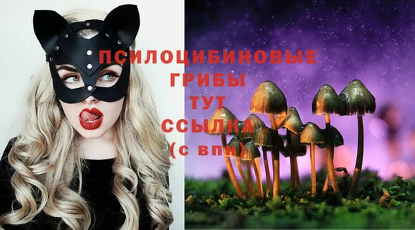 Альфа ПВП Кодинск