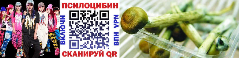 Псилоцибиновые грибы мицелий  Михайловка 
