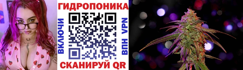 мега ONION  Михайловка  Бошки Шишки индика 